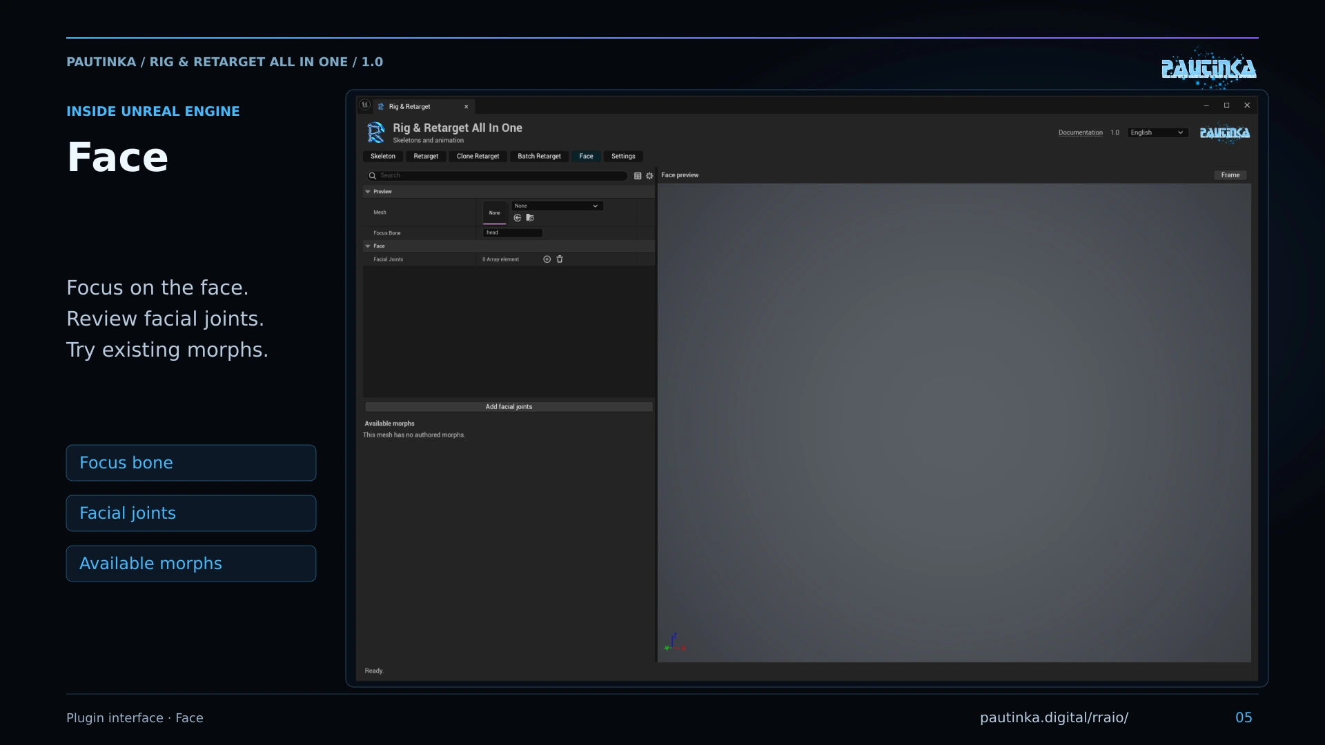 Plugin screenshot · Face and morph targets